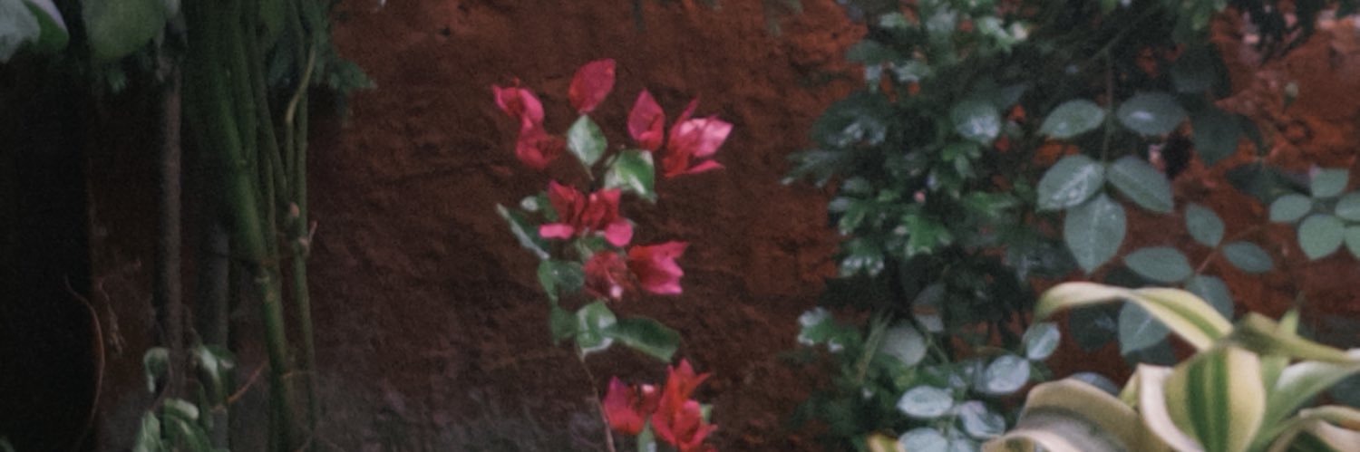 vehehe_'s profile banner image