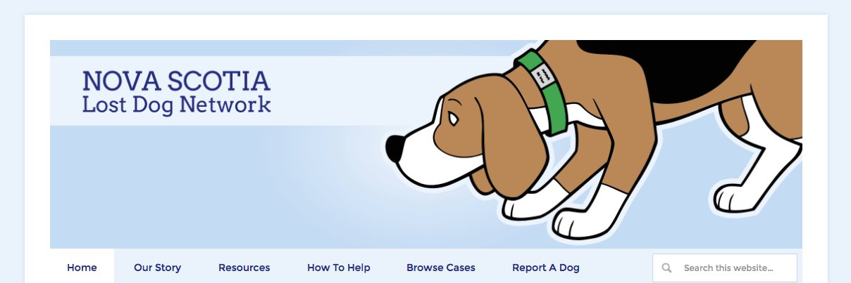 NSLostDogNet's profile banner image