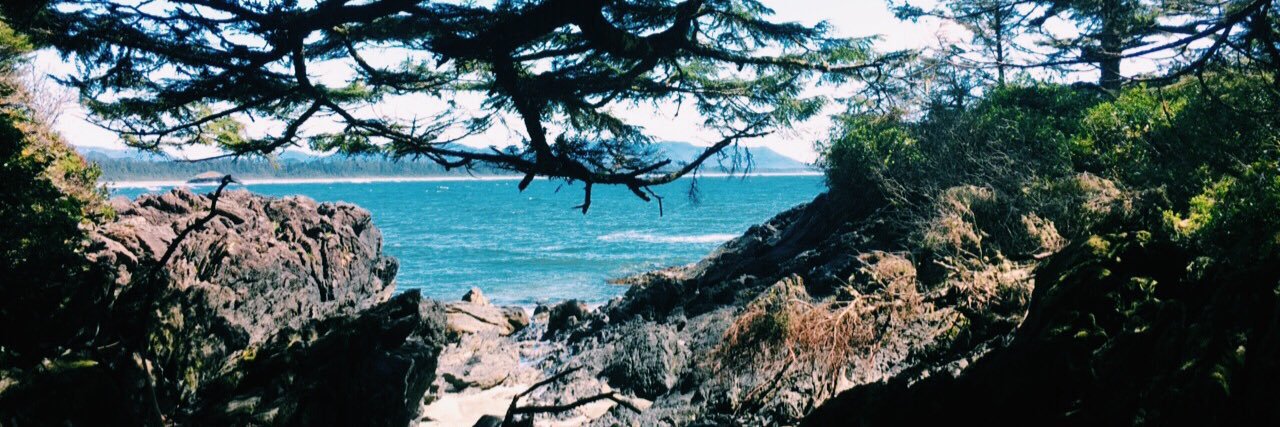 tylerjaneevans's profile banner image