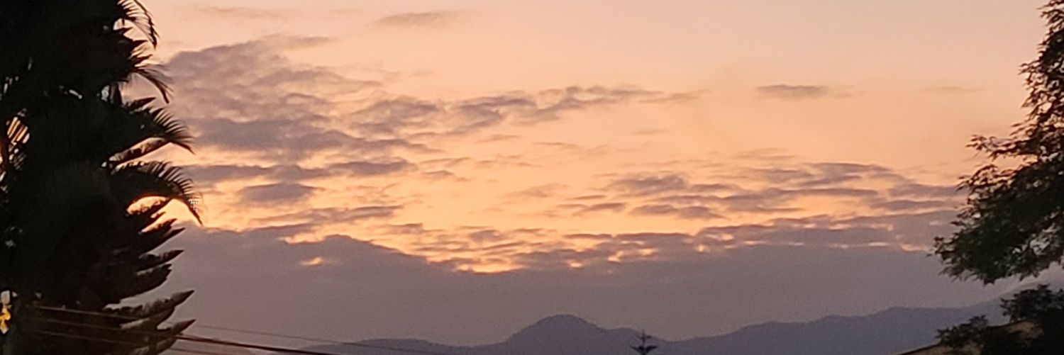 coelio10's profile banner image