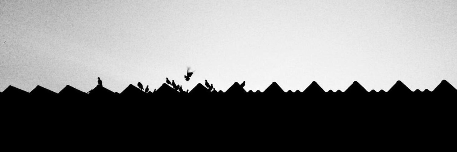 andréi amaya banner