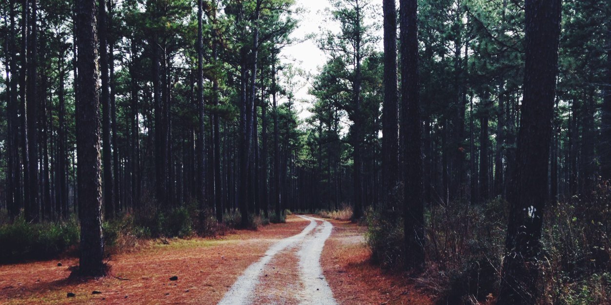 Runnerissues's profile banner image