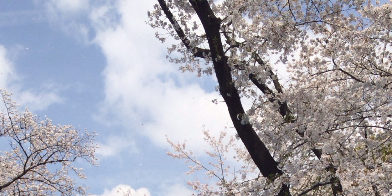 いとうたくま banner