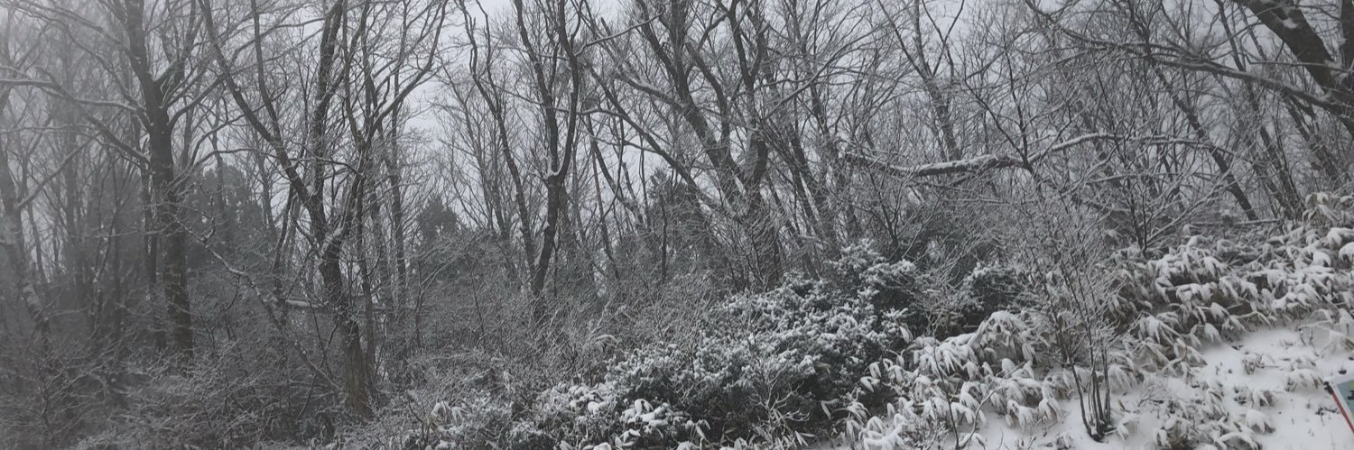 likeonepi1111's profile banner image