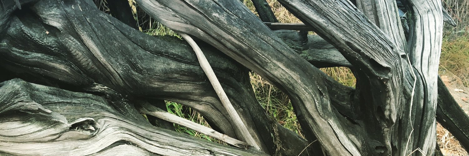 vladepap's profile banner image