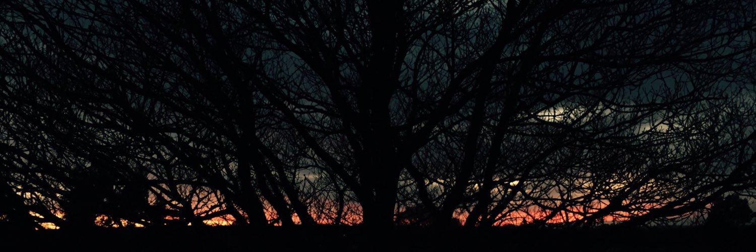 stephenlatter's profile banner image