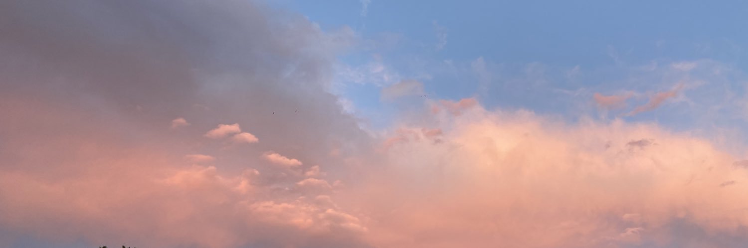 mikeleefilms's profile banner image