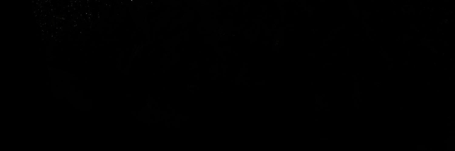 syanzlicious's profile banner image