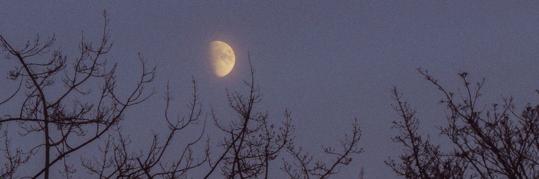 Gülcan⁷🌙 banner
