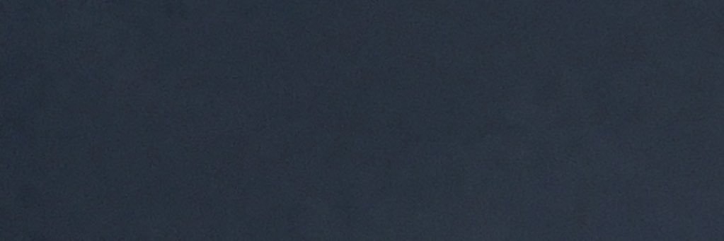 Emily Scaggs banner