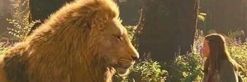 tanmyres_'s profile banner image