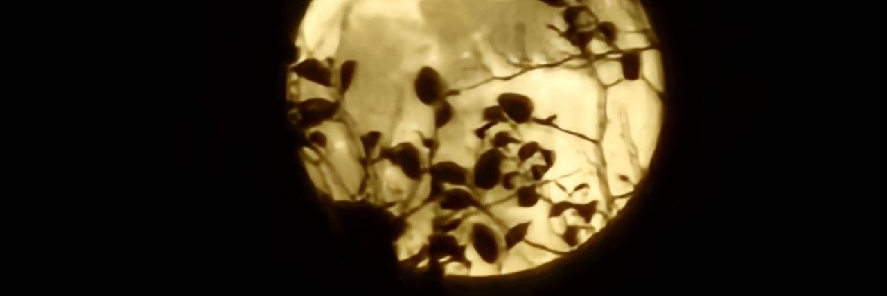 sinan_kamil's profile banner image