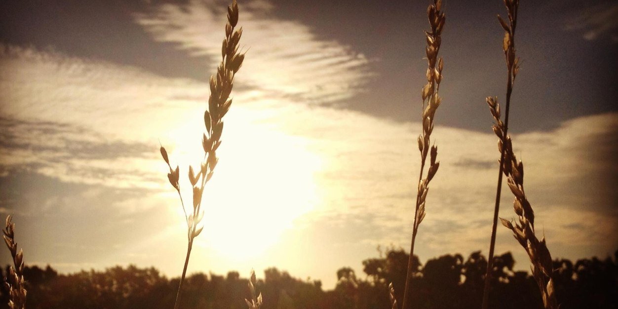 AnnaBain_'s profile banner image