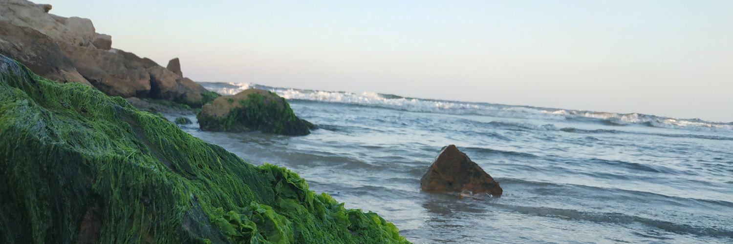 LeoElsawy's profile banner image