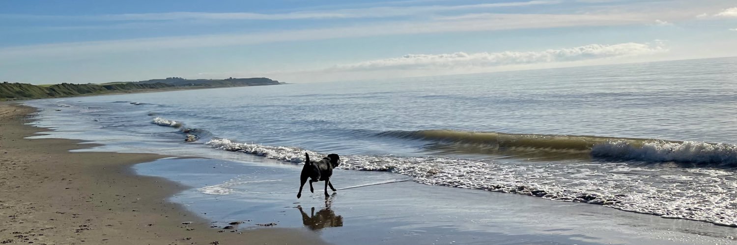 Jean O Connell banner