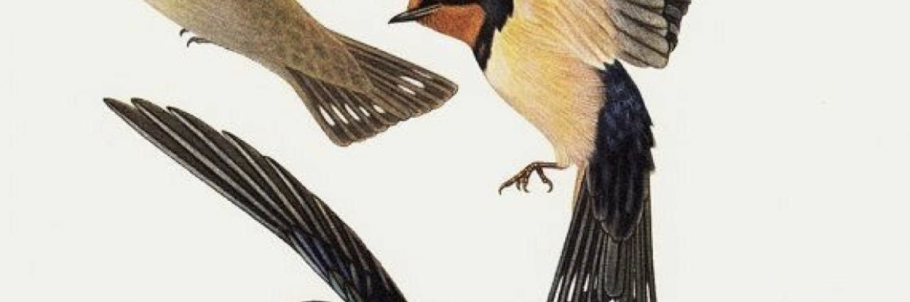 emilyvi0let's profile banner image