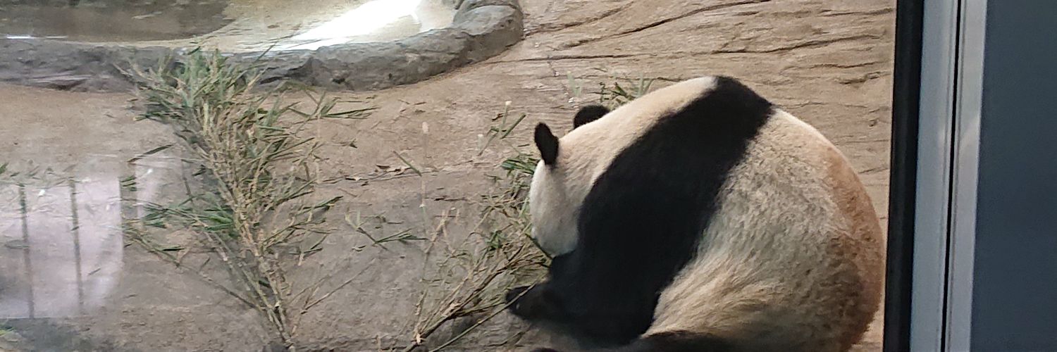 T_T5031's profile banner image