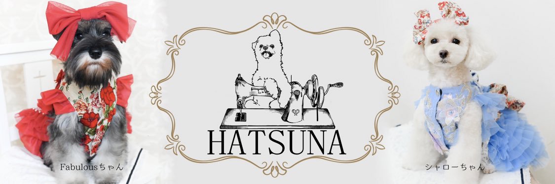 hatu_na_'s profile banner image
