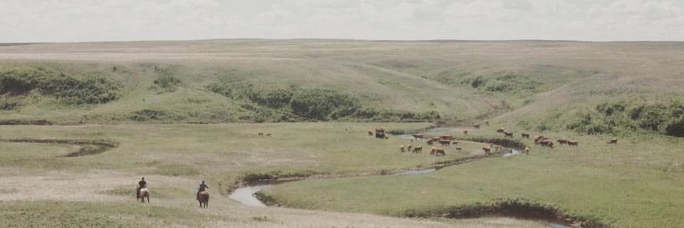TedAndrew1's profile banner image
