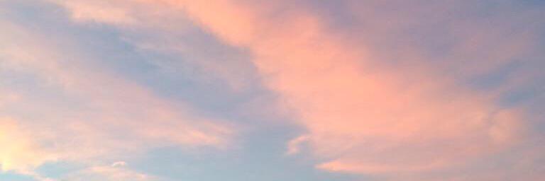 sakura4198's profile banner image