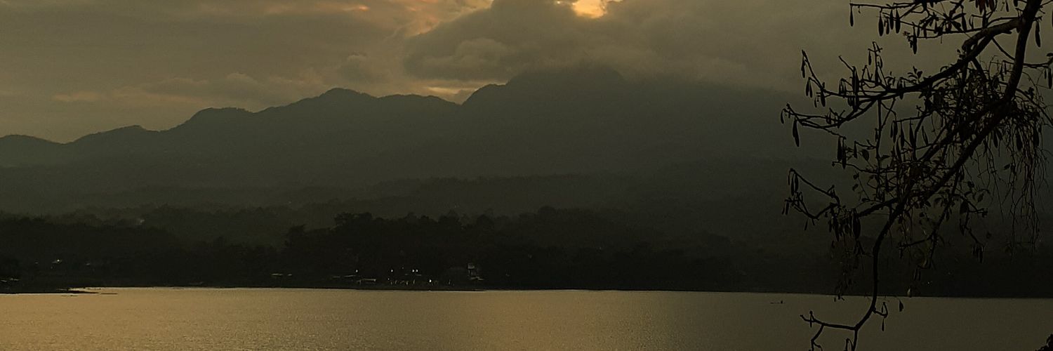 berriesweetsour's profile banner image