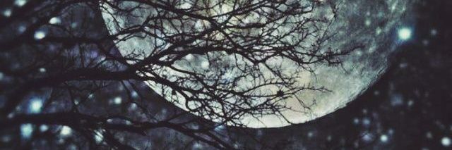 antiahmagh1402's profile banner image