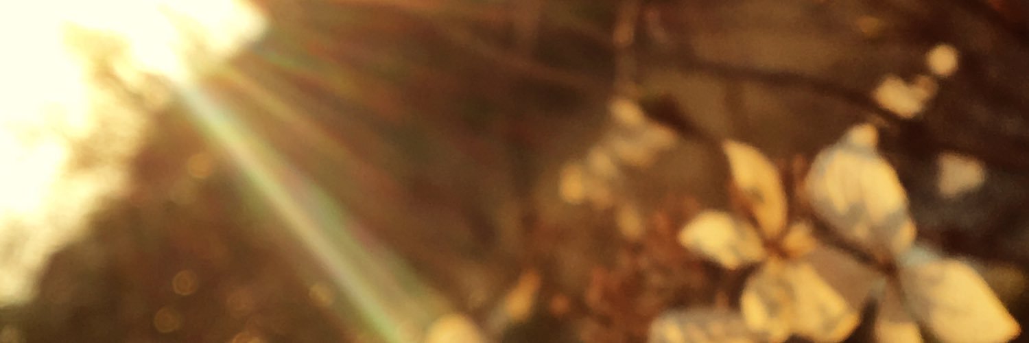 2132Ftom's profile banner image