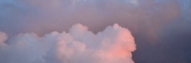 thalia21222's profile banner image