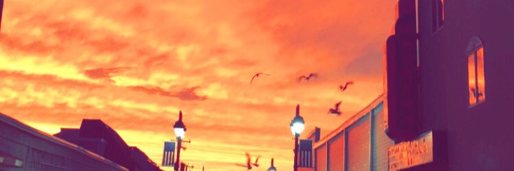 avajacqueline21's profile banner image