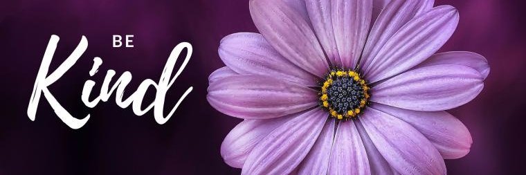 Neha Somani banner