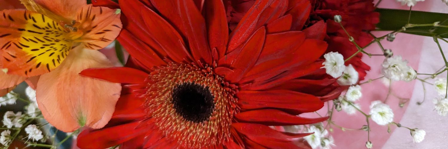 UTiPR_trade's profile banner image