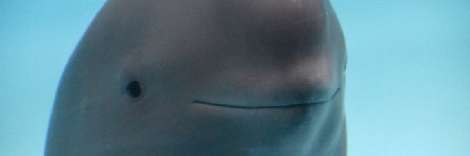 amyritt_'s profile banner image