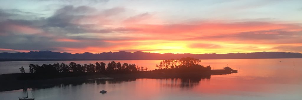 LauraBinns23's profile banner image