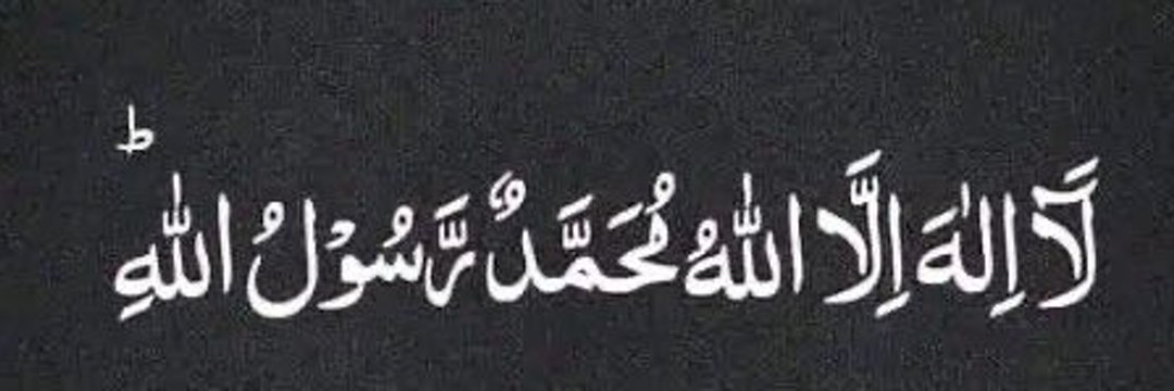 Vizyon Türkiye banner