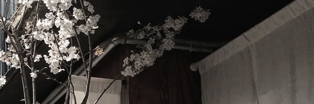 mochixorbitt's profile banner image