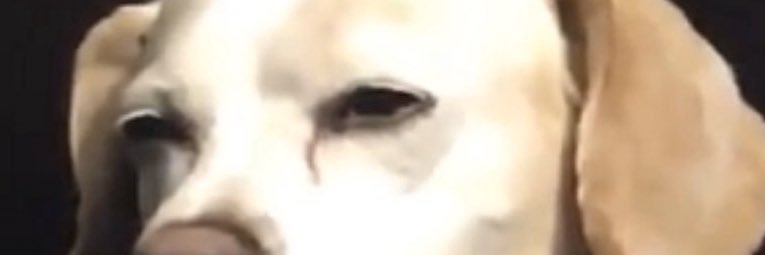 CevinAlex's profile banner image