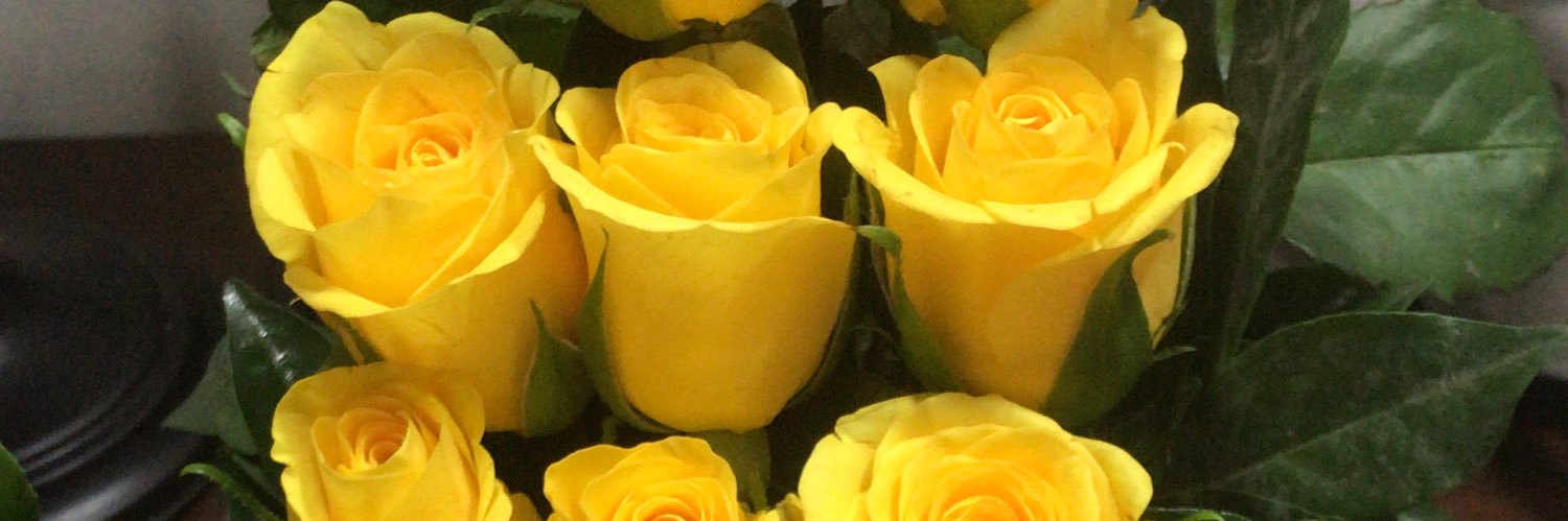 msethi42's profile banner image