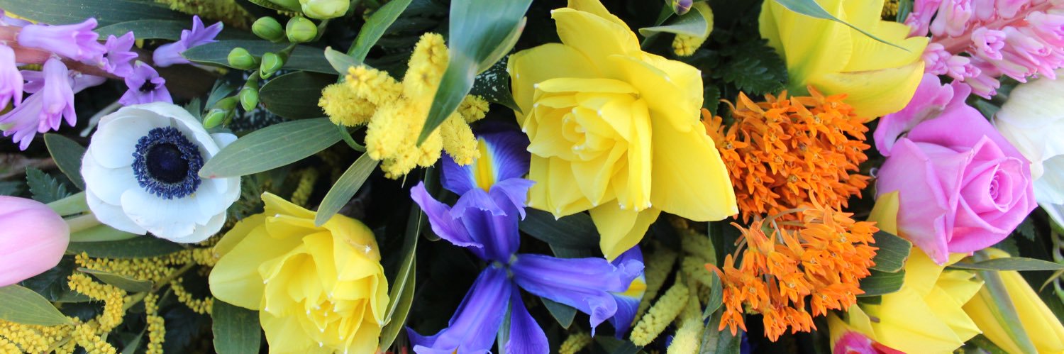 pick_a_posy's profile banner image