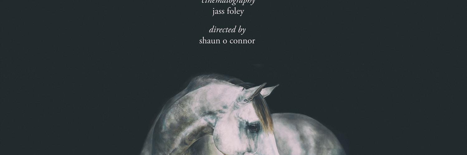Shaun O Connor banner