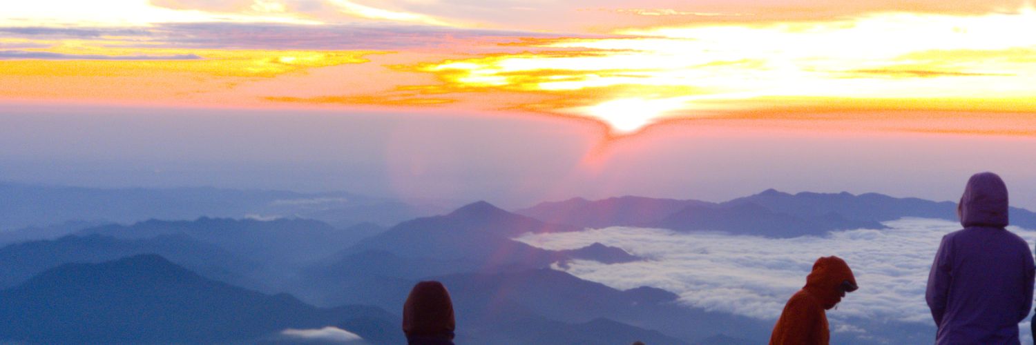 savvy_124's profile banner image