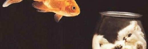chto_to49's profile banner image