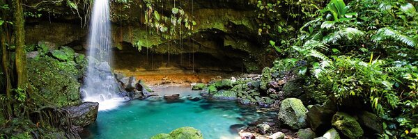 WSMerwin Profile Banner