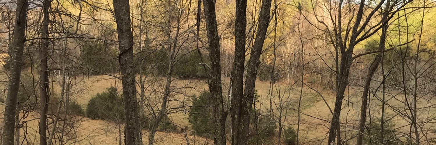 JoshuaLeary's profile banner image