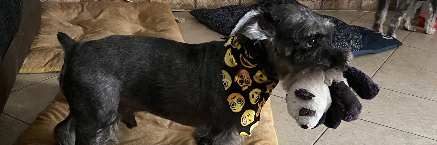 maxinehaynes_'s profile banner image