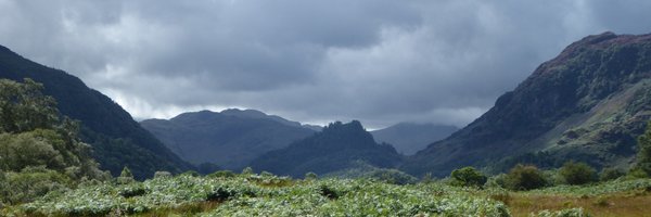 Judith_ekn Profile Banner