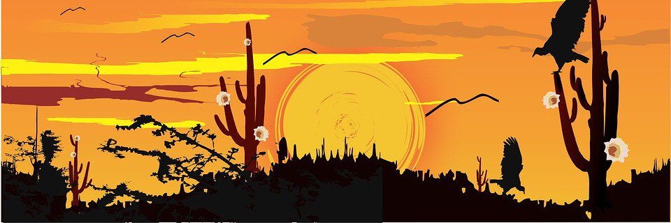 alynefontes's profile banner image