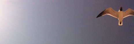 Miles Carroll, PhD banner