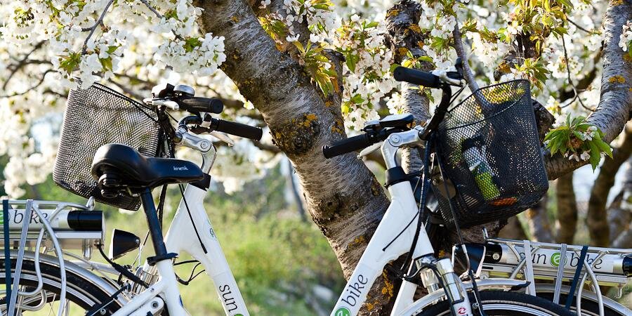 Sunebike's profile banner image