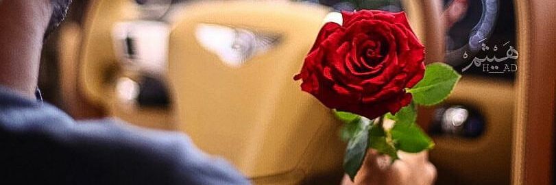 noarh__s's profile banner image