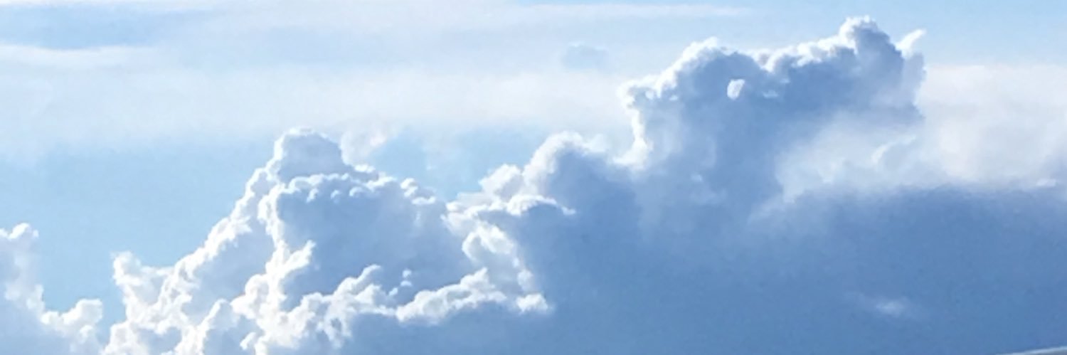 openpeonie's profile banner image